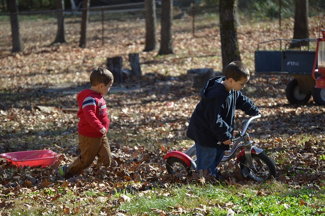 Two kids with a bike and trailer